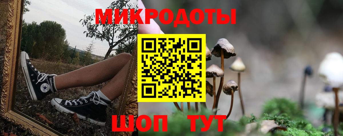 Галлюциногенные грибы GOLDEN TEACHER Выборг