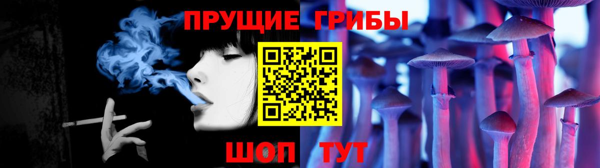 Псилоцибиновые грибы Cubensis  Галлюциногенные грибы Psilocybine cubensis  Выборг  где продают   Вход с VPN 